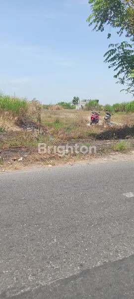 image TANAH DI DESA WONOKASIAN SIDOARJO (1)