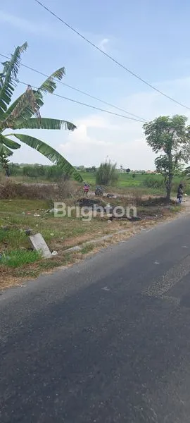 image TANAH DI DESA WONOKASIAN SIDOARJO (3)