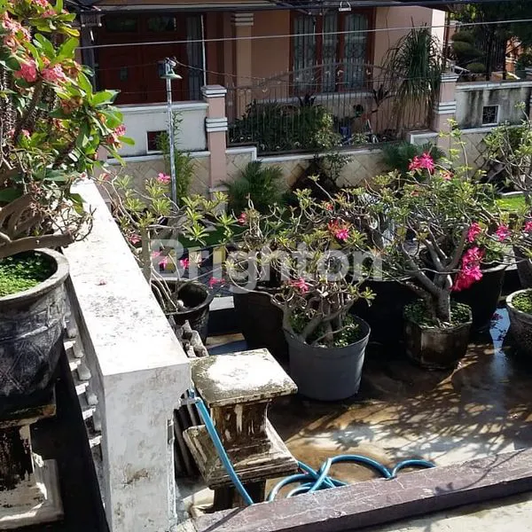 image RUMAH BAGUS CIAMIK SURABAYA TIMUR (6)