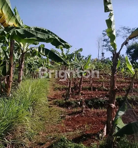 image TANAH STRATEGI PINGGIR JALAN PADALARANG (2)