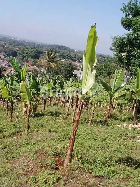image TANAH STRATEGI PINGGIR JALAN PADALARANG (8)