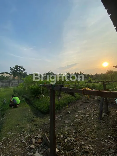 image RUMAH DI PERUMAHAN TPI TAMORA (5)