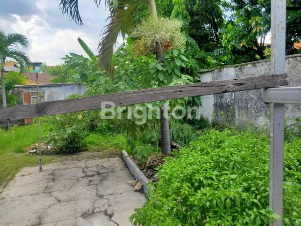image L 1196M² LEBAR 15,SAMPING RS DAN PASAR KOMERSIAL SEPANJANG (2)
