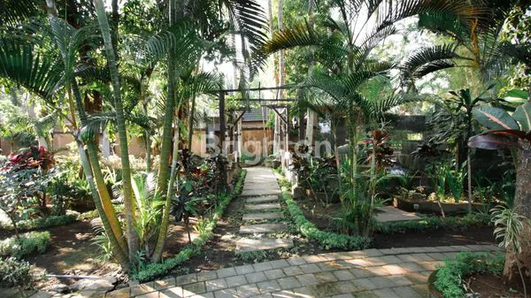 image KOMPLEK VILLA EKSKLUSIF DI UBUD DENGAN NUANSA ALAM DAN SUNGAI ALAMI (8)