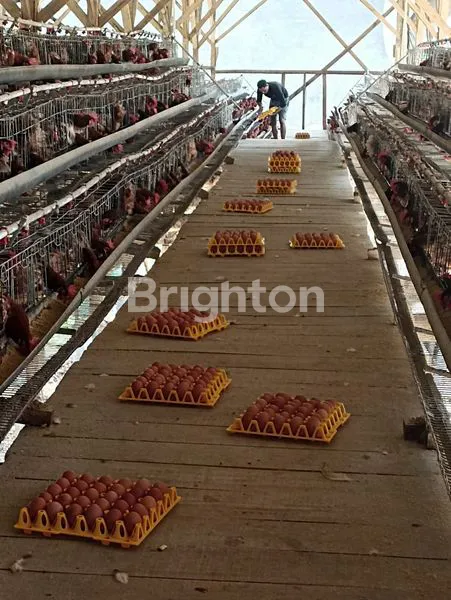 image DIJUAL RUMAH DAN TANAH CIWIDEY BANDUNG (6)