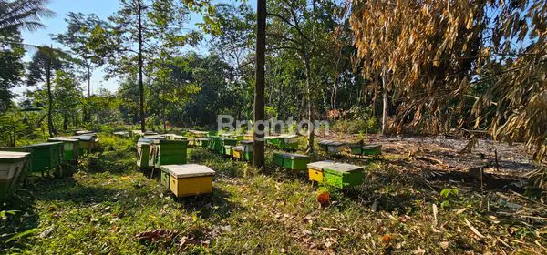 image TANAH SIAP BANGUN TEPI JALAN PROVINSI DI UNGARAN TIMUR (1)