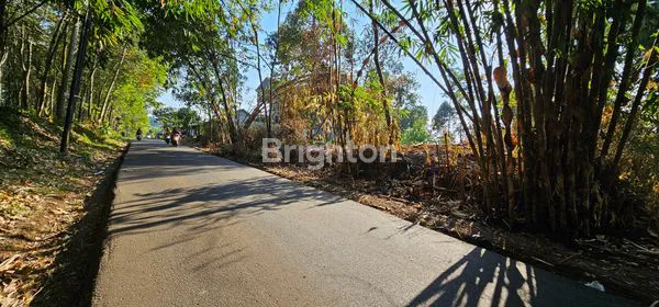 image TANAH SIAP BANGUN TEPI JALAN PROVINSI DI UNGARAN TIMUR (3)
