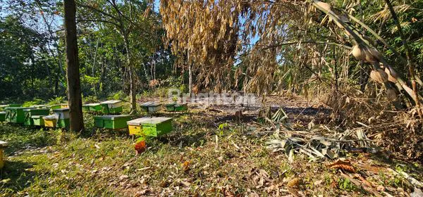 image TANAH SIAP BANGUN TEPI JALAN PROVINSI DI UNGARAN TIMUR (5)