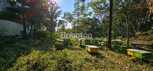 image TANAH SIAP BANGUN TEPI JALAN PROVINSI DI UNGARAN TIMUR (6)