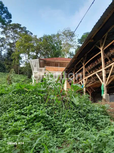image RUMAH KONSEP VILLA PLUS KANDANG AYAM PLUS AYAMNYA DAERAH CIWIDEY (8)