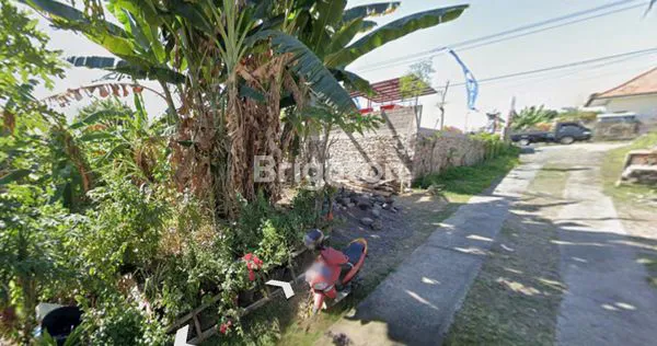 image TANAH STRATEGIS DI SAMBANGAN, SUKASADA, BULELENG BALI, HANYA 20 METER DARI JALAN RAYA (3)