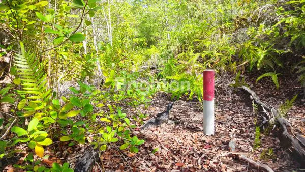 TANAH LOKASI DEKAT BANDARA LETUNG ANAMBAS
