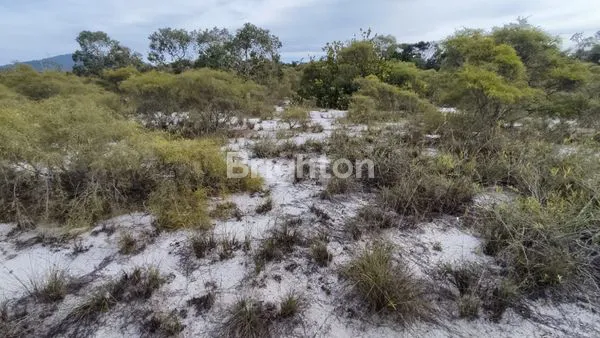 TANAH DI ANAMBAS JEMAJA MAMPOK