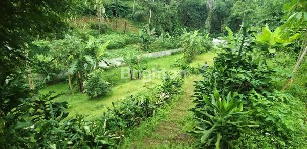 image PROPERTI STRATEGIS EX-CAFE, LT 2500M² DI CIMAHI (2)