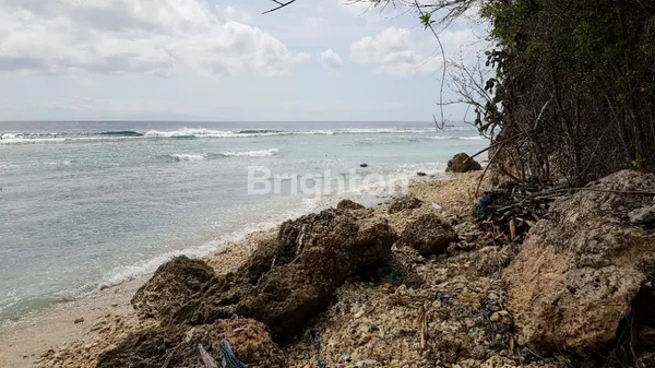 image KAVLING TANAH PINGGIR JALAN UTAMA NUSAPENIDA BALI (4)