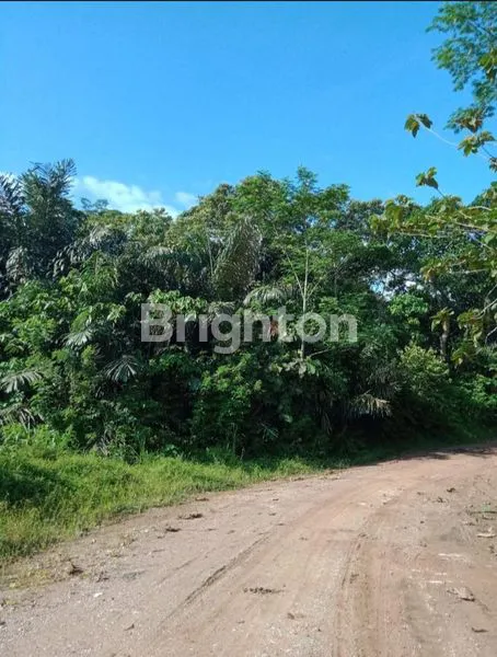 DIJUAL CEPAT TANAH DI KELURAHAN JONGKANG, KABUPATEN KUTAI KARTANEGARA