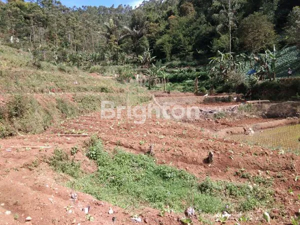 TANAH LOKASI CIWIDEY