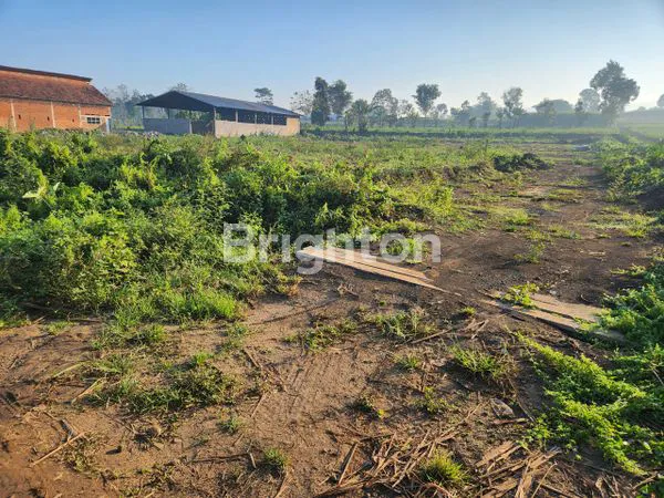 image DIJUAL TANAH MURAH DAN LUAS AREA DENGKOL SINGOSARI DEKAT DENGAN BANDARA ABD SALEH MALANG (2)
