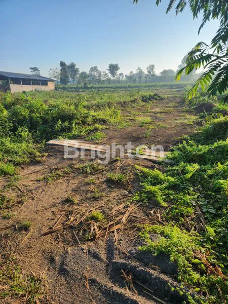 image DIJUAL TANAH MURAH DAN LUAS AREA DENGKOL SINGOSARI DEKAT DENGAN BANDARA ABD SALEH MALANG (1)