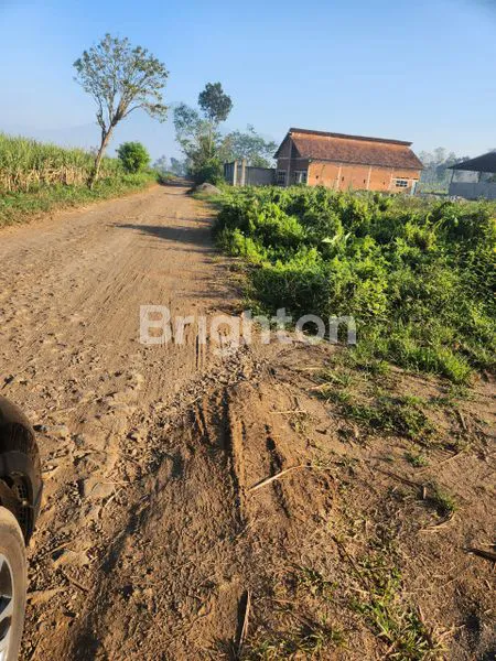 image DIJUAL TANAH MURAH DAN LUAS AREA DENGKOL SINGOSARI DEKAT DENGAN BANDARA ABD SALEH MALANG (3)