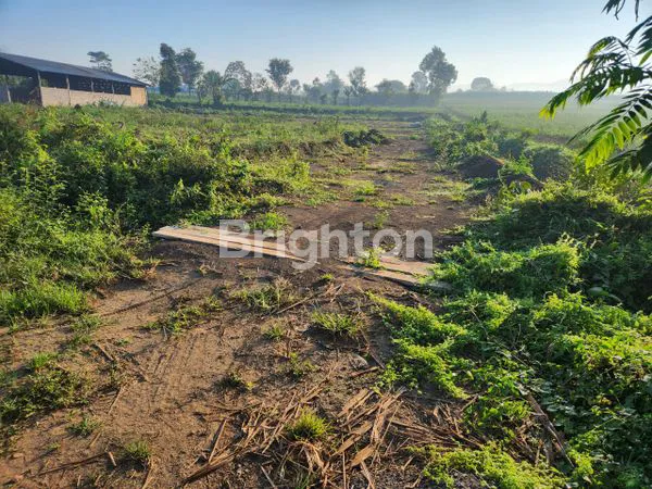 image DIJUAL TANAH MURAH DAN LUAS AREA DENGKOL SINGOSARI DEKAT DENGAN BANDARA ABD SALEH MALANG (4)