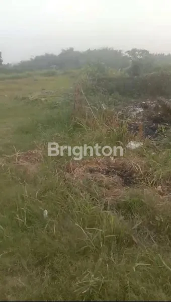 TANAH 15HA MURAH DI SOLEAR TANGERANG