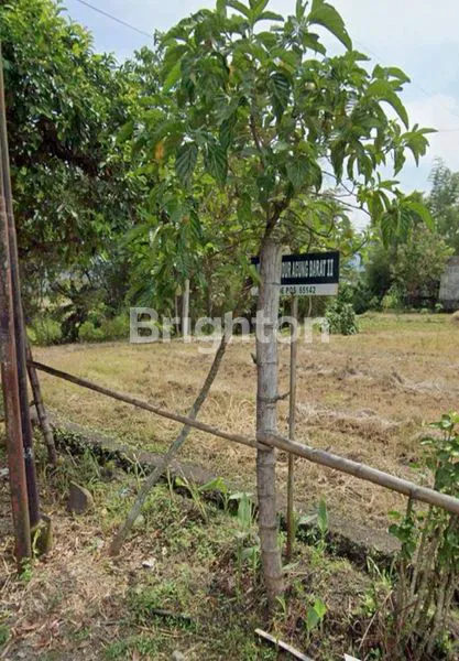 TANAH DI SUDIMORO LOKASI YANG SANGAT STRATEGIS