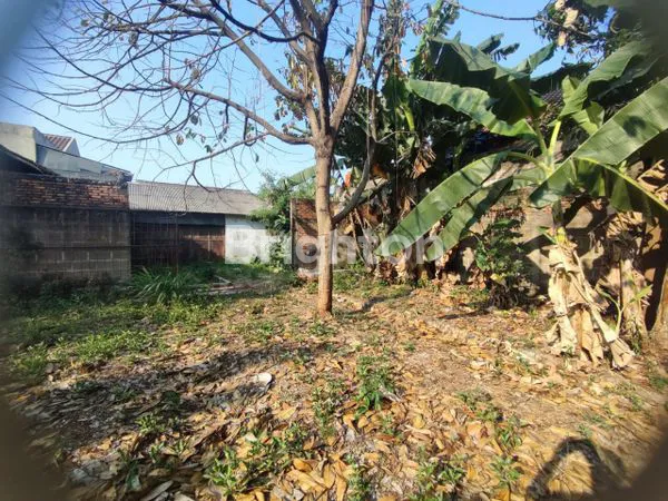 image TANAH CIMANGGIS DEPOK (2)
