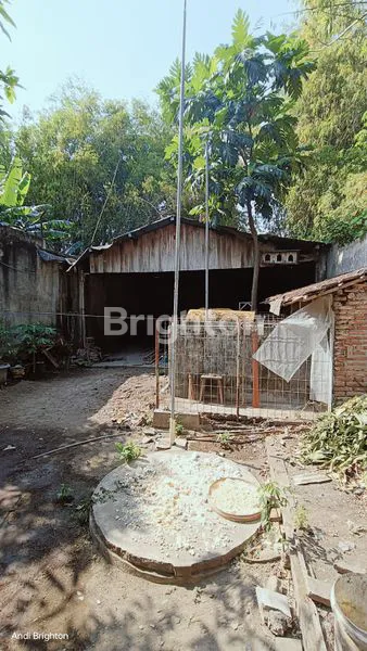 image RUKO 2 LANTAI FULL BANGUNAN DI JALAN PROVINSI JOMBANG (5)