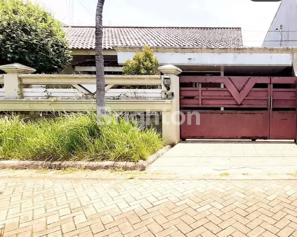 image MANYAR TIRTOMOYO (1)