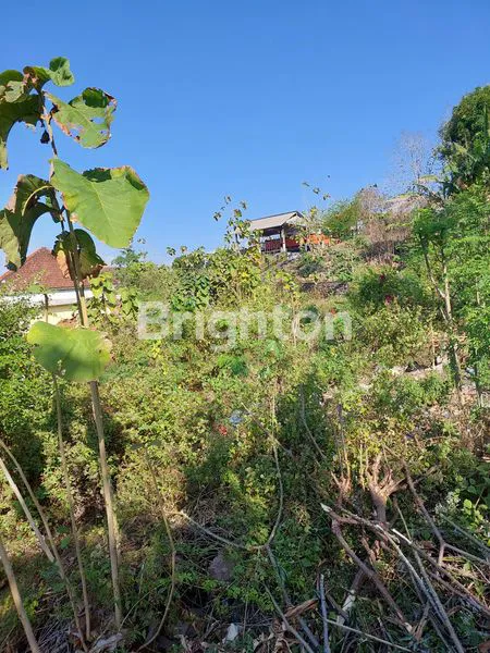 image TANAH AREA JALAN GEDONG SARI NUSA DUA VIEW LAUT & JALAN TOL BALI MANDARA (1)