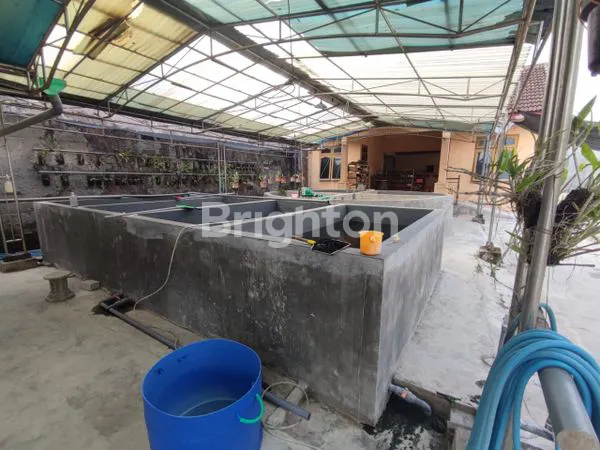 image RUMAH DI JALAN POROS TULUNGAGUNG (4)