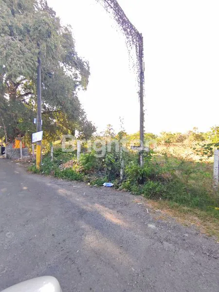 image TANAH DI JIMBARAN BAWAH DI 50 METER DARI JALAN RAYA UNUD (2)