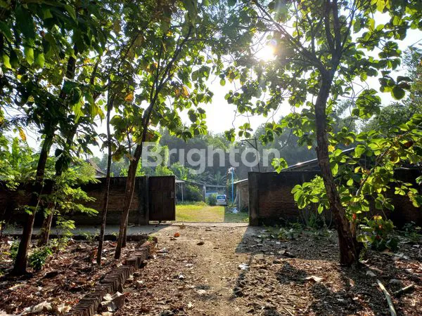 image DIJUAL KANDANG BEBEK BESERTA BISNISNYA (1)