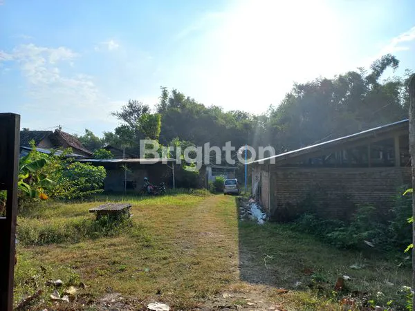 image DIJUAL KANDANG BEBEK BESERTA BISNISNYA (2)