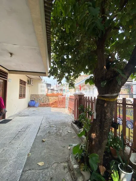 image RUMAH KEDOYA, MURAH STRATEGIS, DEKAT JALAN RAYA (5)