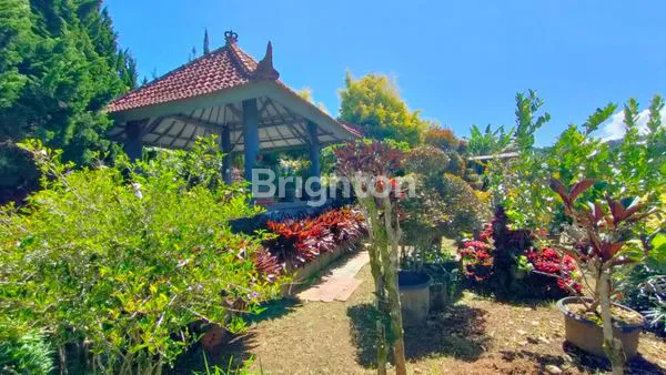 RUMAH SEMI VILLA BATURITI BEDUGUL