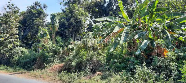 image TANAH PEKARANGAN LUAS 550M² DI PONDOK SUKOHARJO (1)