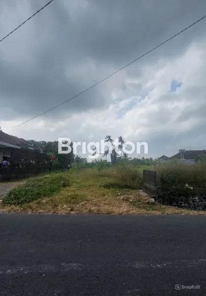 image TANAH 34,15 ARE DEKAT NUANU BEACH CLUB DAN PANTAI NYANYI DI DESA PANDAK GEDE KEDIRI TABANAN, COCOK DIBANGUN VILLA KARENA POSISI ADA DIPINGGIRAN SUNGAI  (3)