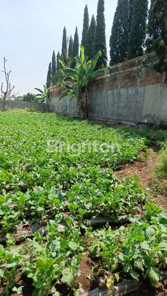 image TANAH DATAR BENTUK KOTAK SAYAP SETIABUDI (6)