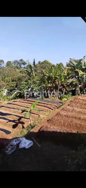 image JUAL CEPAT VILLA HITUNG TANAH (3)