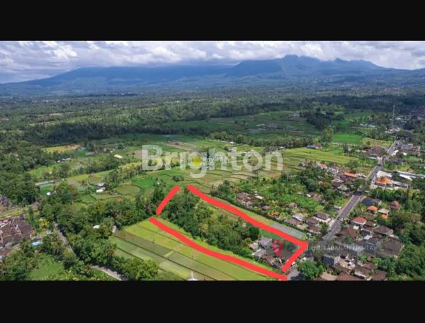 TANAH DI BEDUGUL TABANAN  BERPANORAMA GUNUNG YG SEJUK