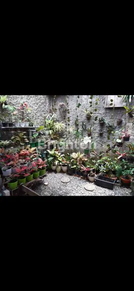 image RUMAH POJOK EKSKLUSIF SUKMAJAYA  (5)