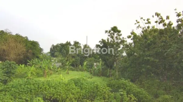 image DIJUAL TANAH DI SERPONG (1)