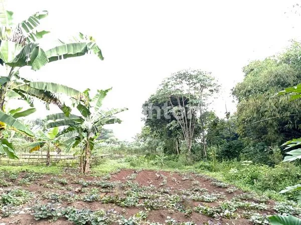 image DIJUAL TANAH DI SERPONG (2)