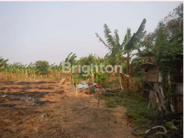 image KAVLING KOMERSIAL CENGKARENG LINGKAR LUAR CENGKARENG TIMUR JAKARTA BARAT (1)