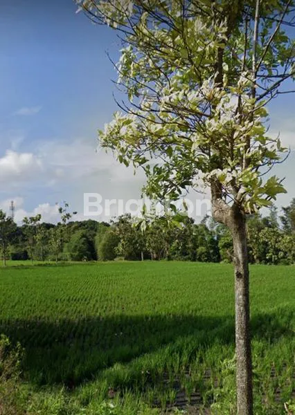 TANAH DI TASIKMADU LOWOKWARU MALANG