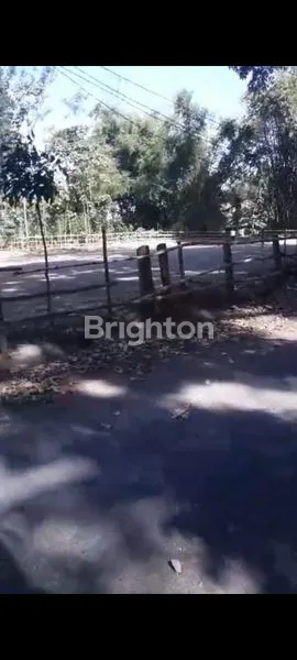 image TANAH MURAH SIAP BANGUN DI PLOSOKLATEN KEDIRI (4)