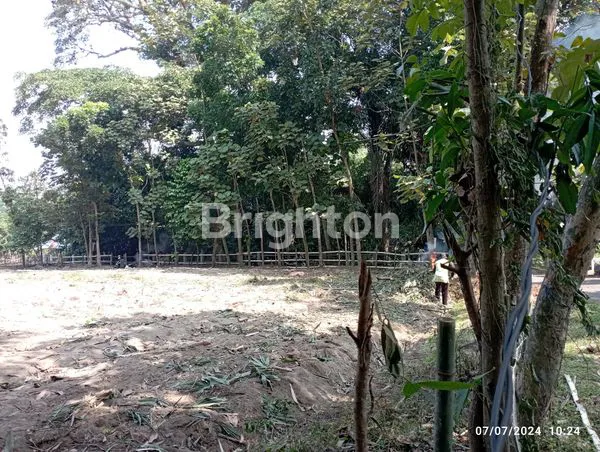 image TANAH MURAH SIAP BANGUN DI PLOSOKLATEN KEDIRI (5)