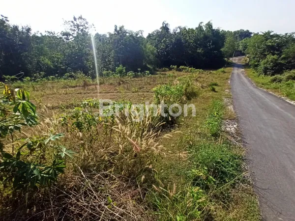 image TANAH KERING DI JERUKSAWIT MOJOSONGO KARANGANYAR GONDANGREJO JAWA TENGAH (4)